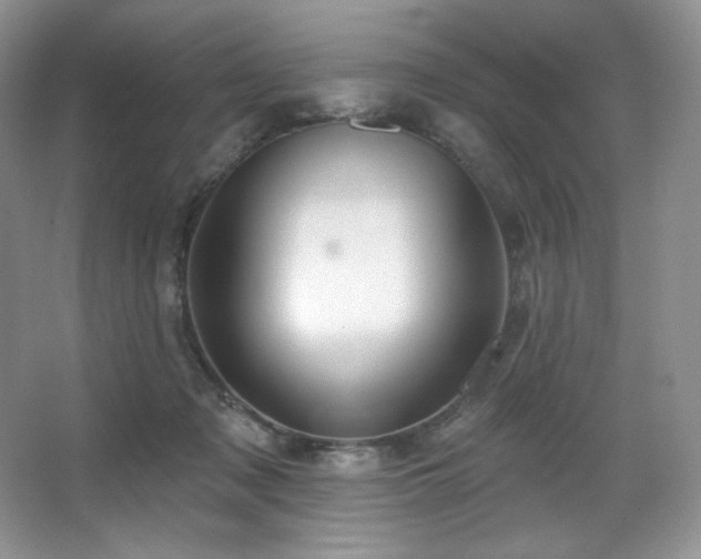X0000067940317200604131455