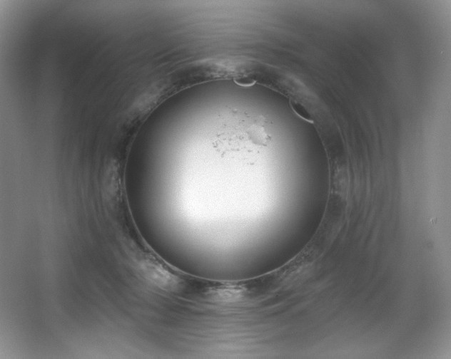 X0000067940318200604131455