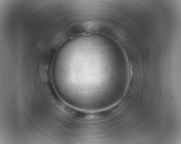 X0000067940319200604131455