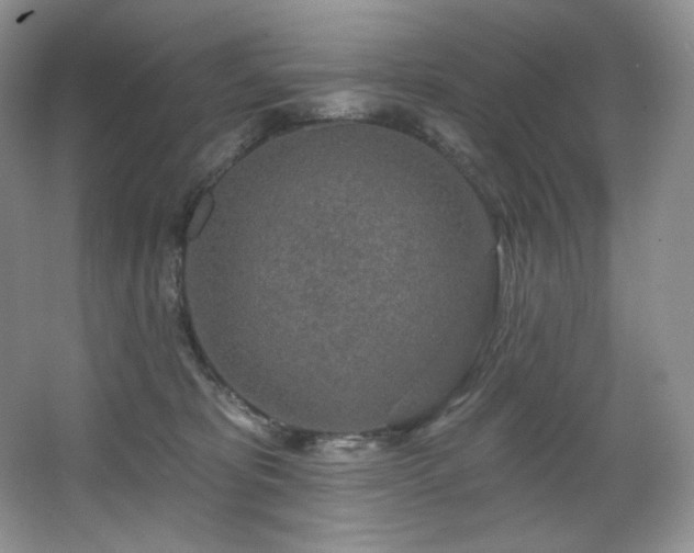 X0000067940325200604131455