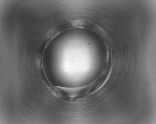 X0000067940329200604131455
