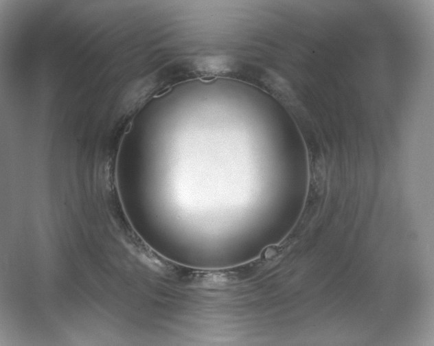 X0000067940330200604131455