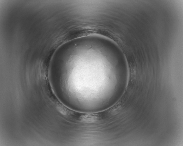 X0000067940331200604131455