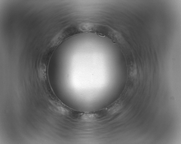 X0000067940332200604131455