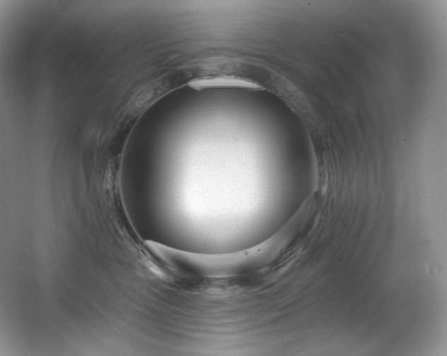 X0000067940333200604131455