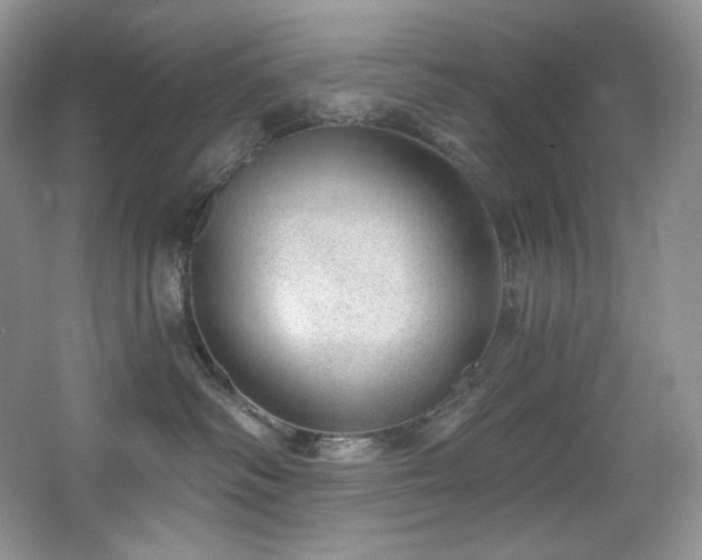 X0000067940334200604131455