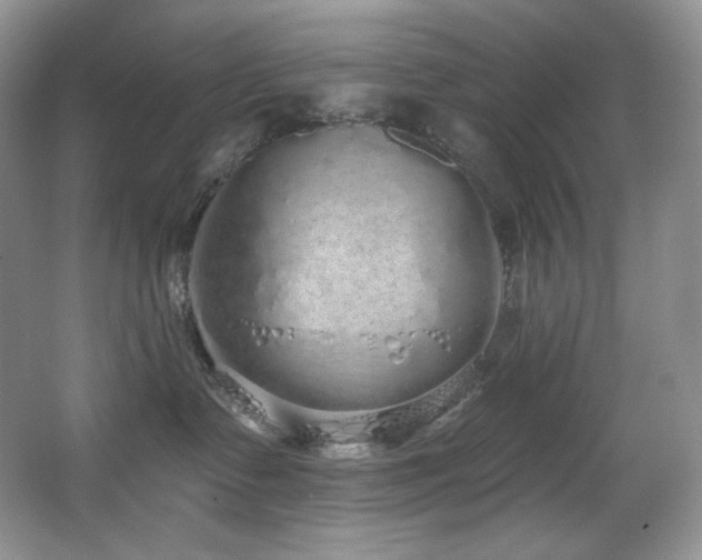 X0000067940335200604131455