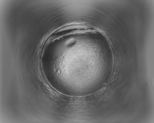 X0000067940337200604131454