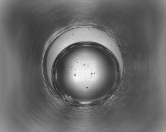 X0000067940340200604131454