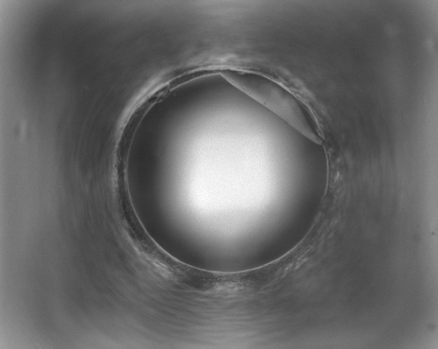 X0000067940344200604131454