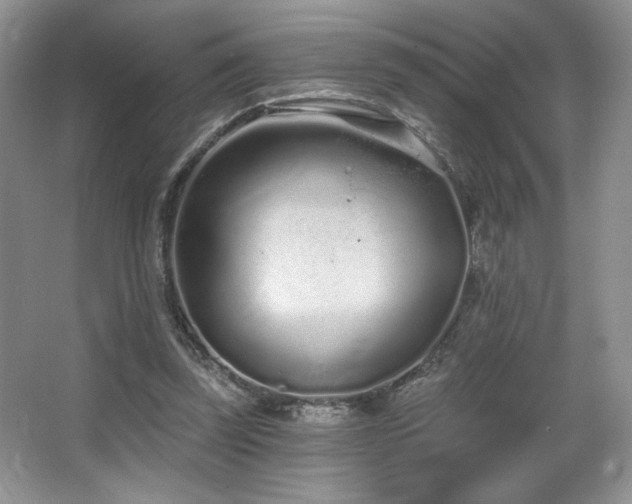 X0000067940347200604131454