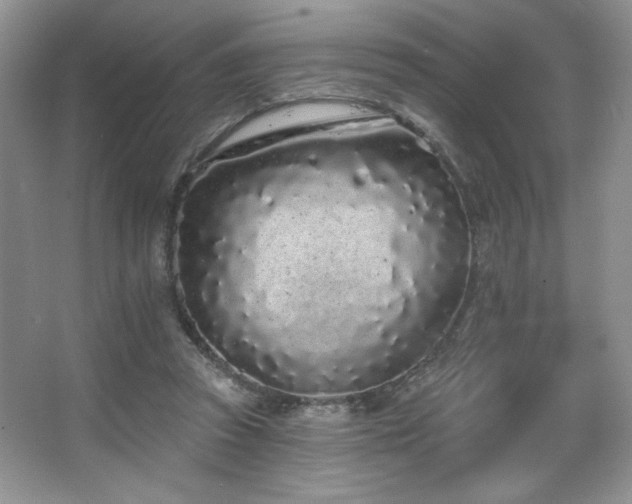 X0000067940353200604131455