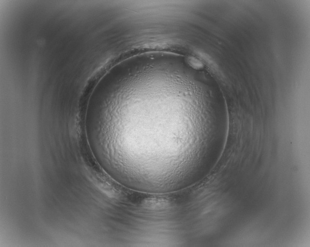 X0000067940354200604131455