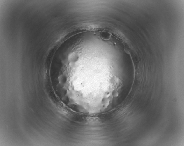 X0000067940355200604131455