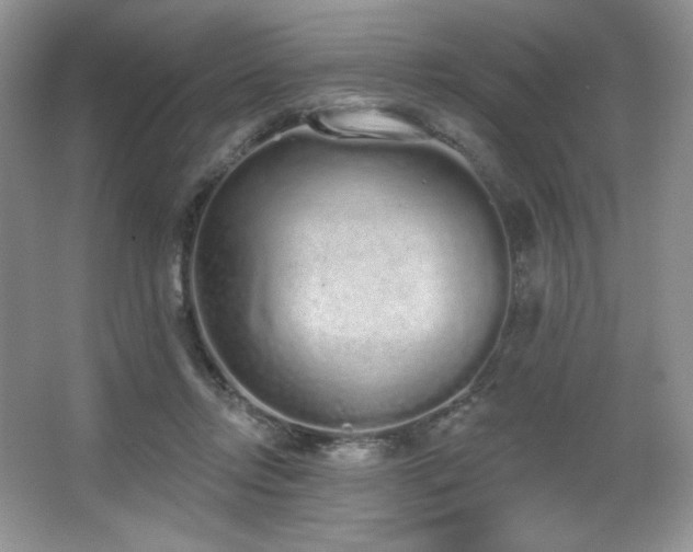 X0000067940358200604131455