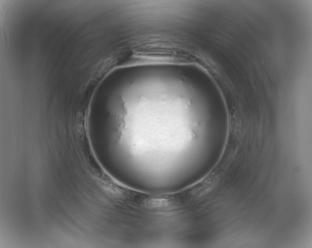 X0000067940361200604131455