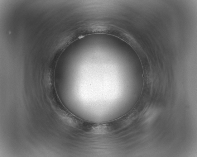 X0000067940362200604131455