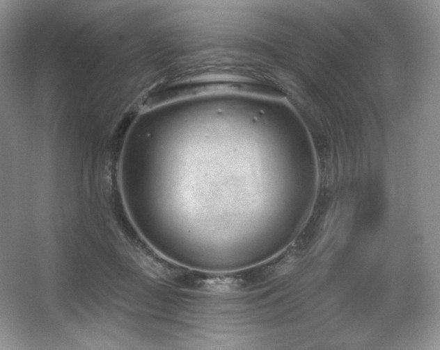 X0000067940363200604131455