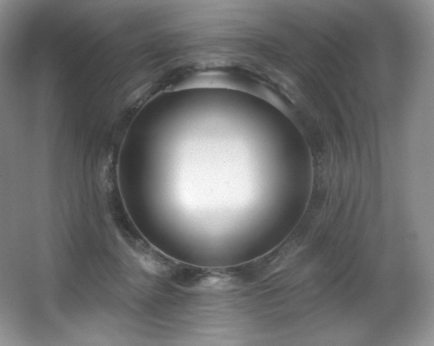 X0000067940364200604131455