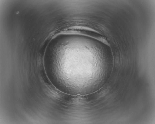 X0000067940367200604131455