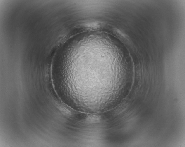 X0000067940369200604131455