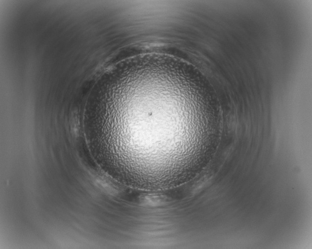 X0000067940372200604131455