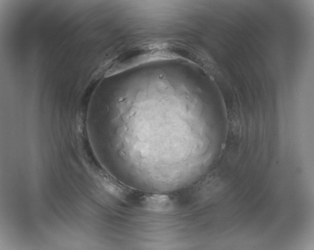 X0000067940374200604131455