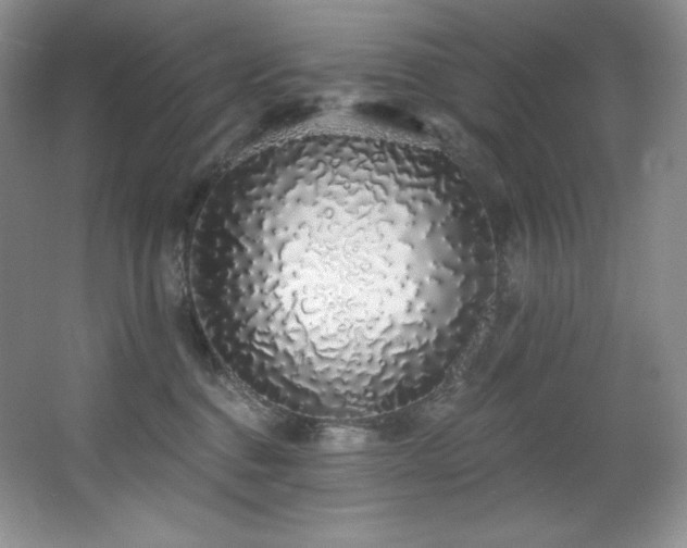 X0000067940376200604131455