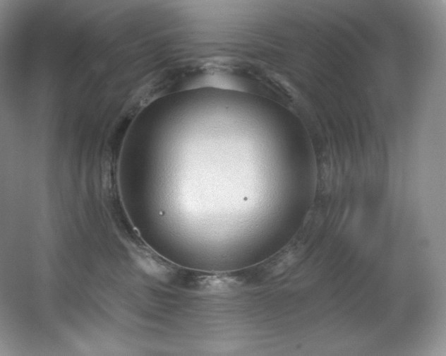 X0000067940379200604131455