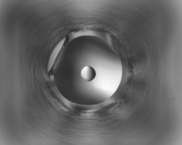 X0000067940380200604131455