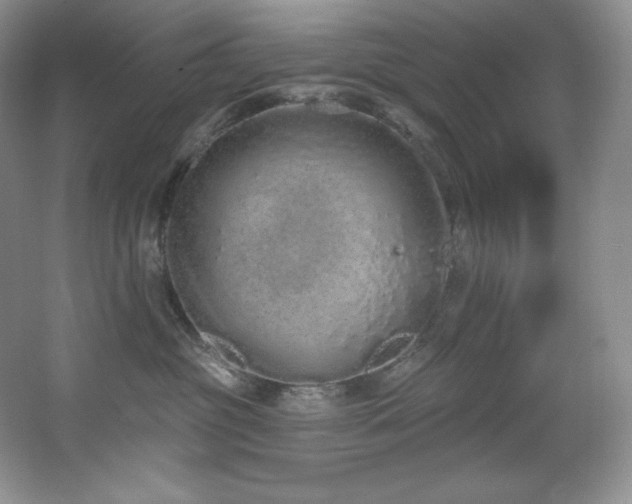 X0000067940381200604131455