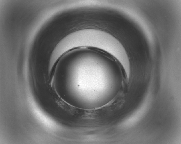 X0000067940382200604131455