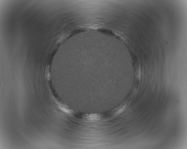 X0000067940383200604131455