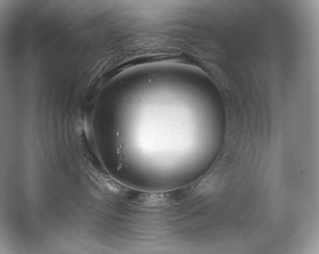 X0000067940384200604131455