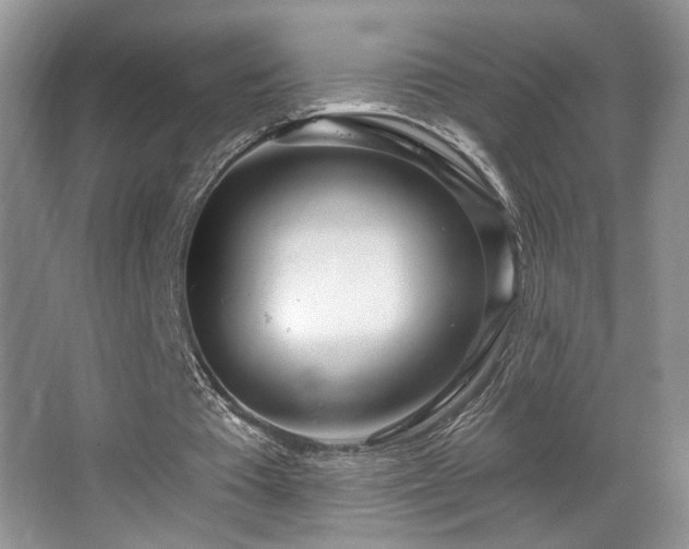 X0000067940385200604131454