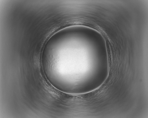 X0000067940386200604131454