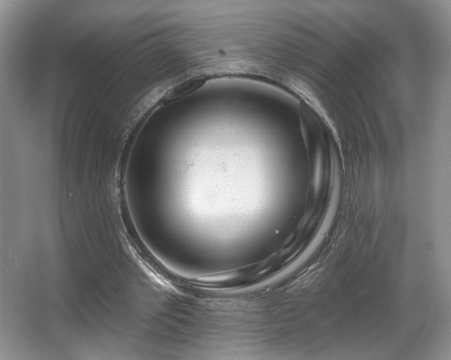 X0000067940389200604131454