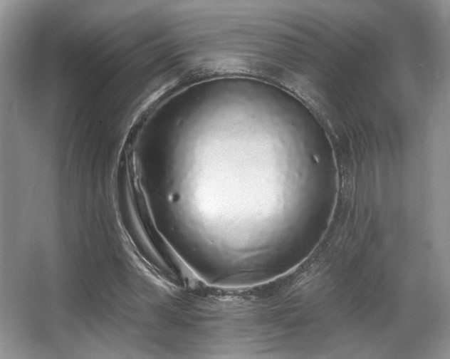 X0000067940390200604131454