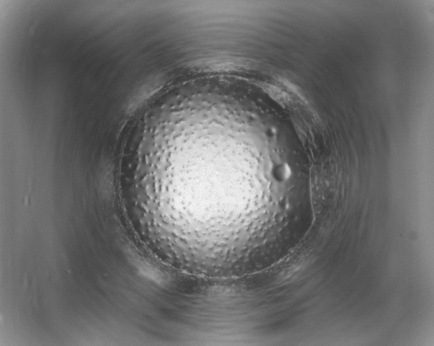 X0000067940394200604131454