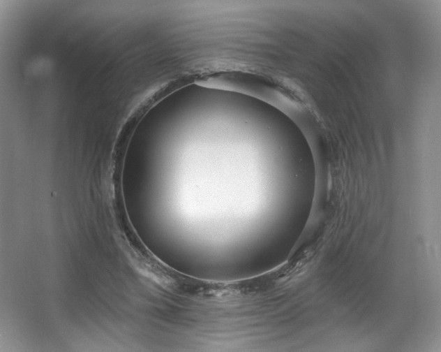 X0000067940395200604131454