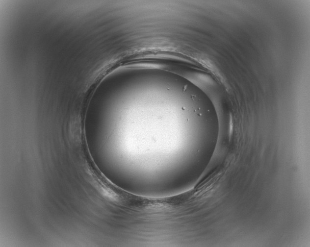 X0000067940397200604131454