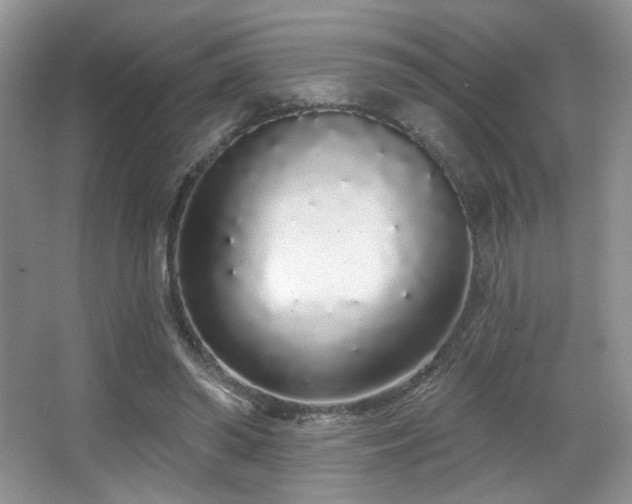 X0000067940398200604131454