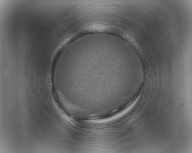 X0000067940399200604131454