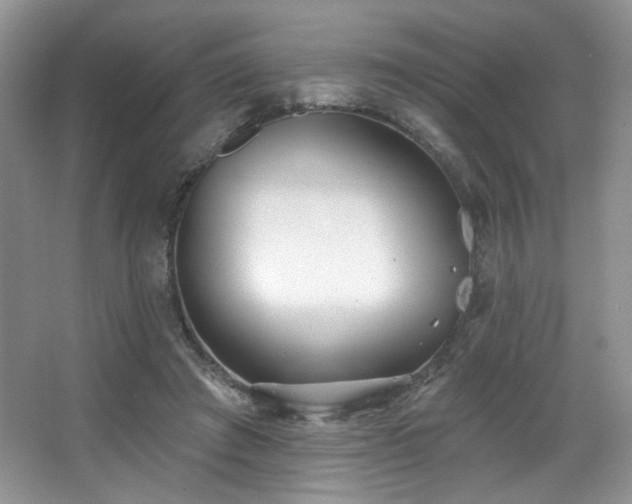 X0000067940401200604131454