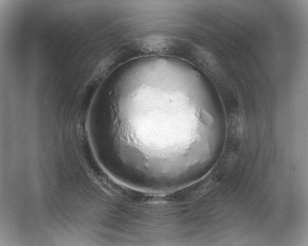 X0000067940408200604131454