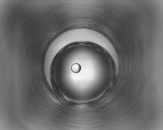 X0000067940411200604131454