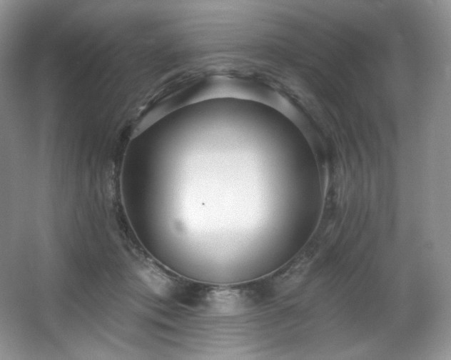 X0000067940413200604131454
