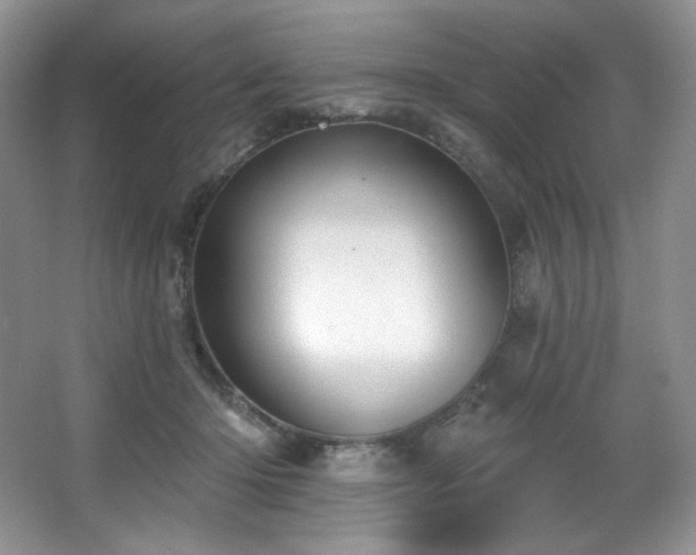 X0000067940414200604131454