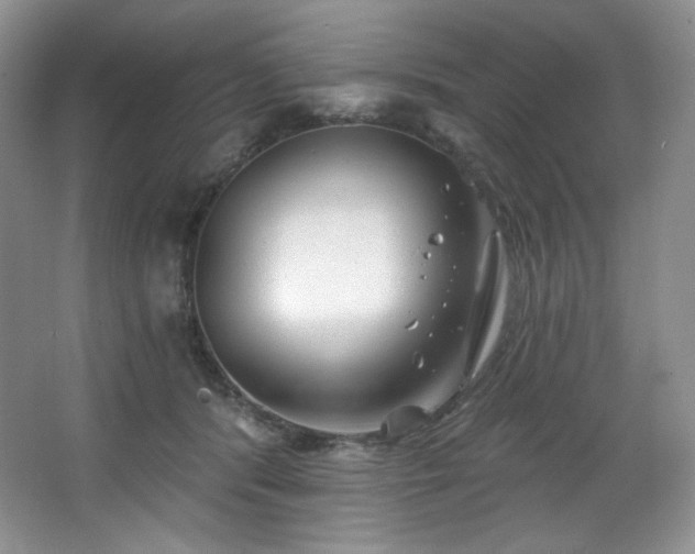 X0000067940416200604131454