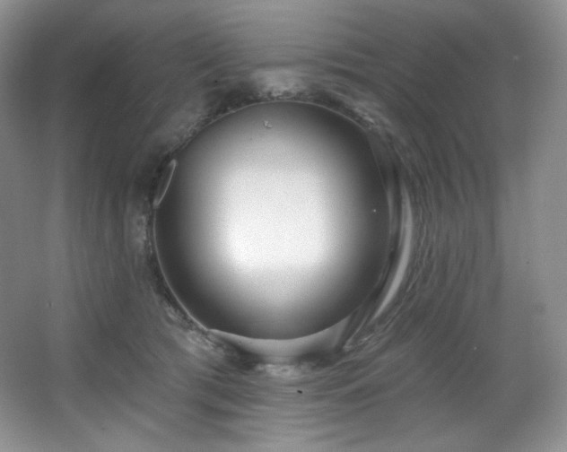 X0000067940417200604131454